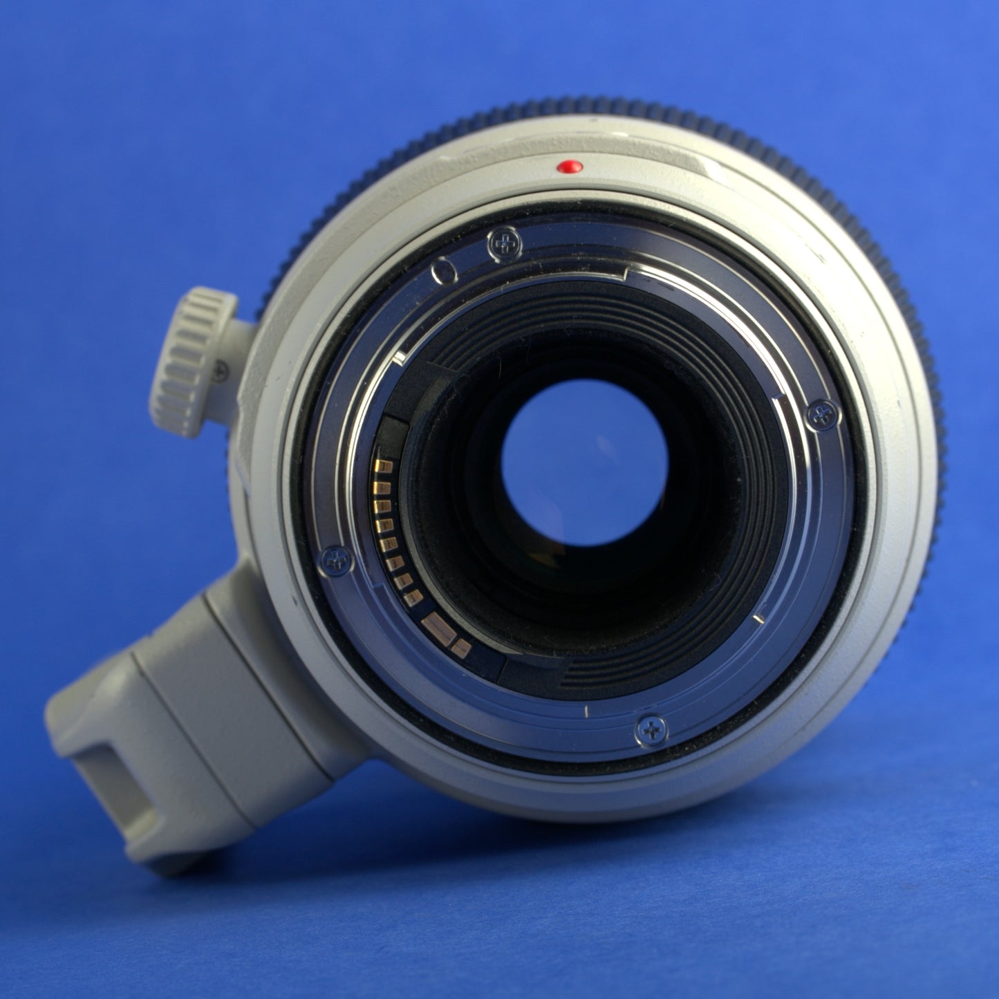 Canon EF 100-400mm 4.5-5.6 L IS II Lens