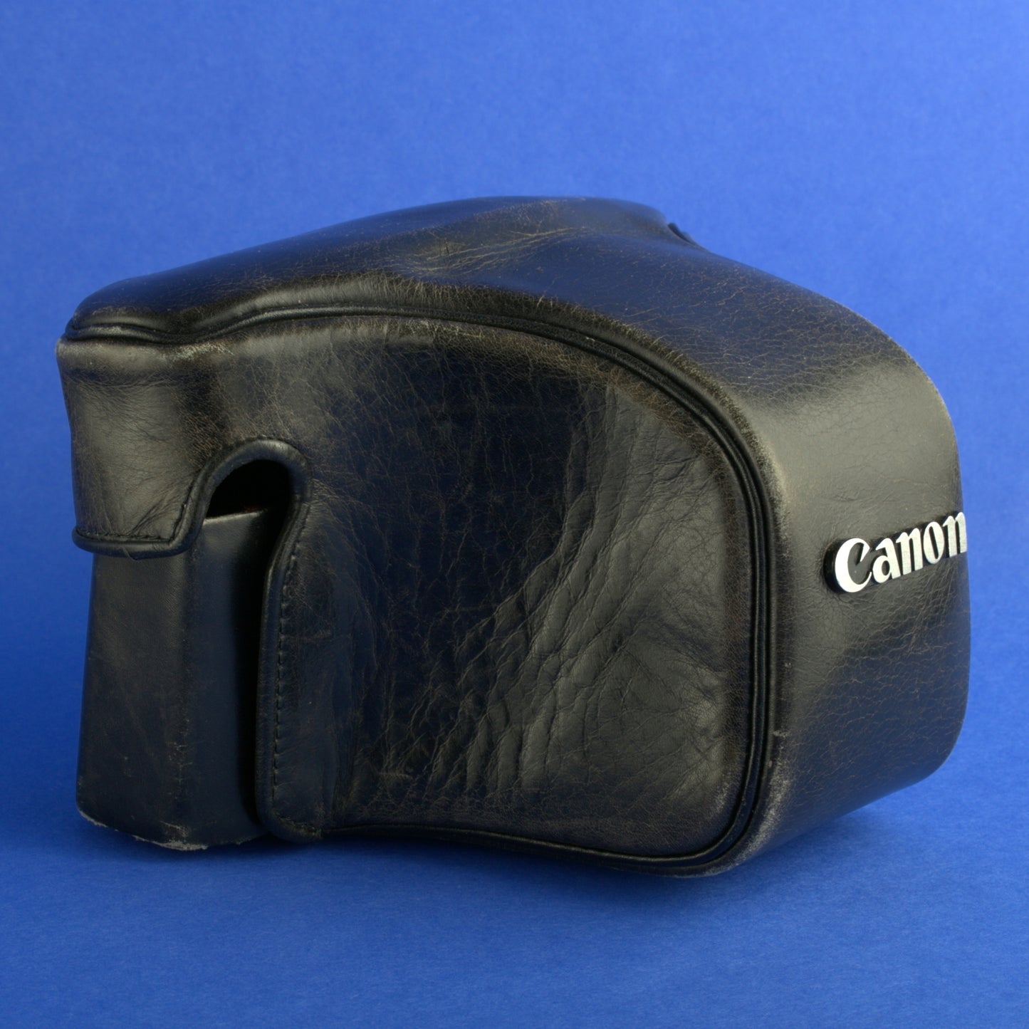 Canon Case S Ever Ready for F-1 Cameras