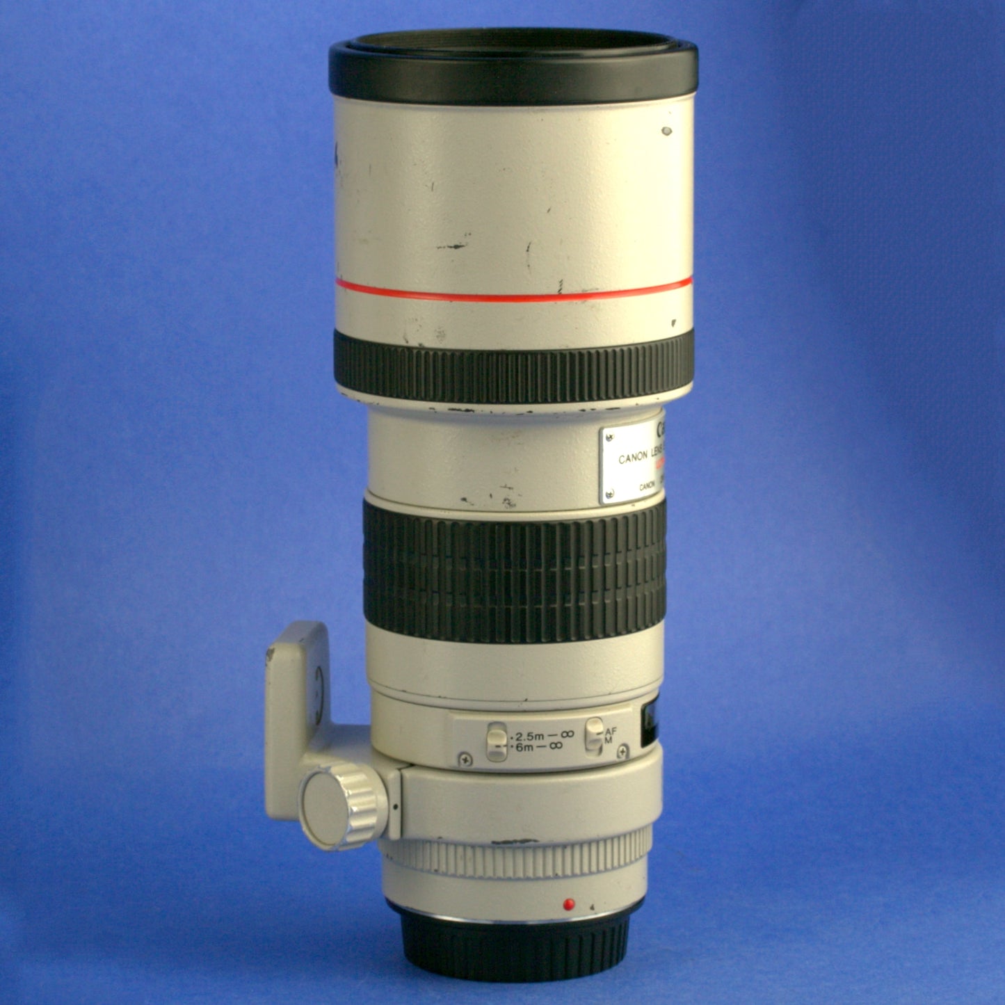 Canon EF 300mm F4 L Lens