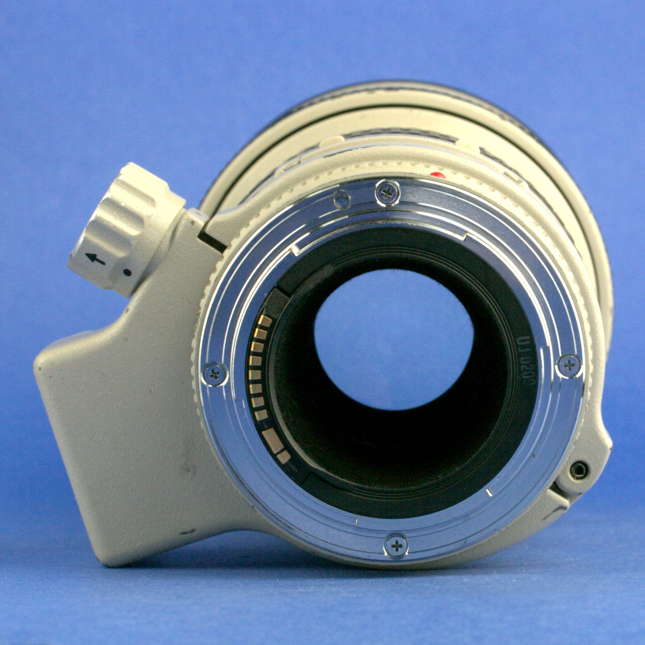 Canon EF 300mm F4 L Lens