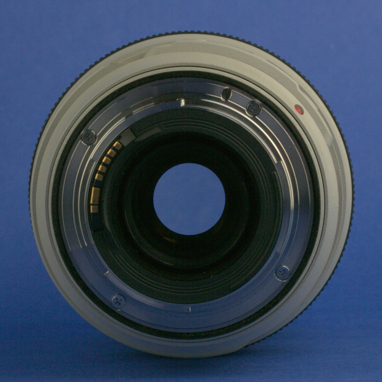 Canon EF 70-300mm 4.5-5.6 L IS Lens
