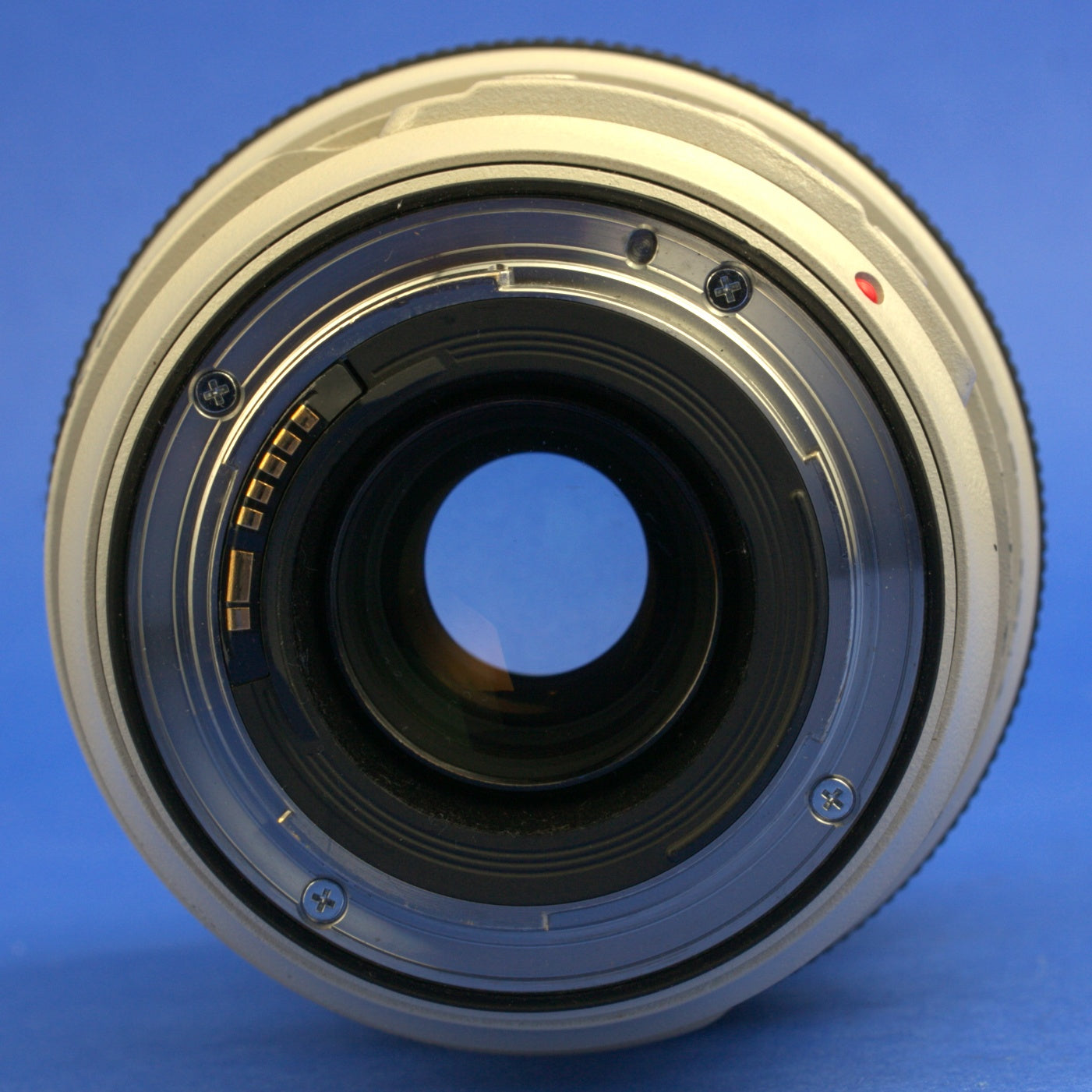 Canon EF 70-300mm 4-5.6 L IS Lens