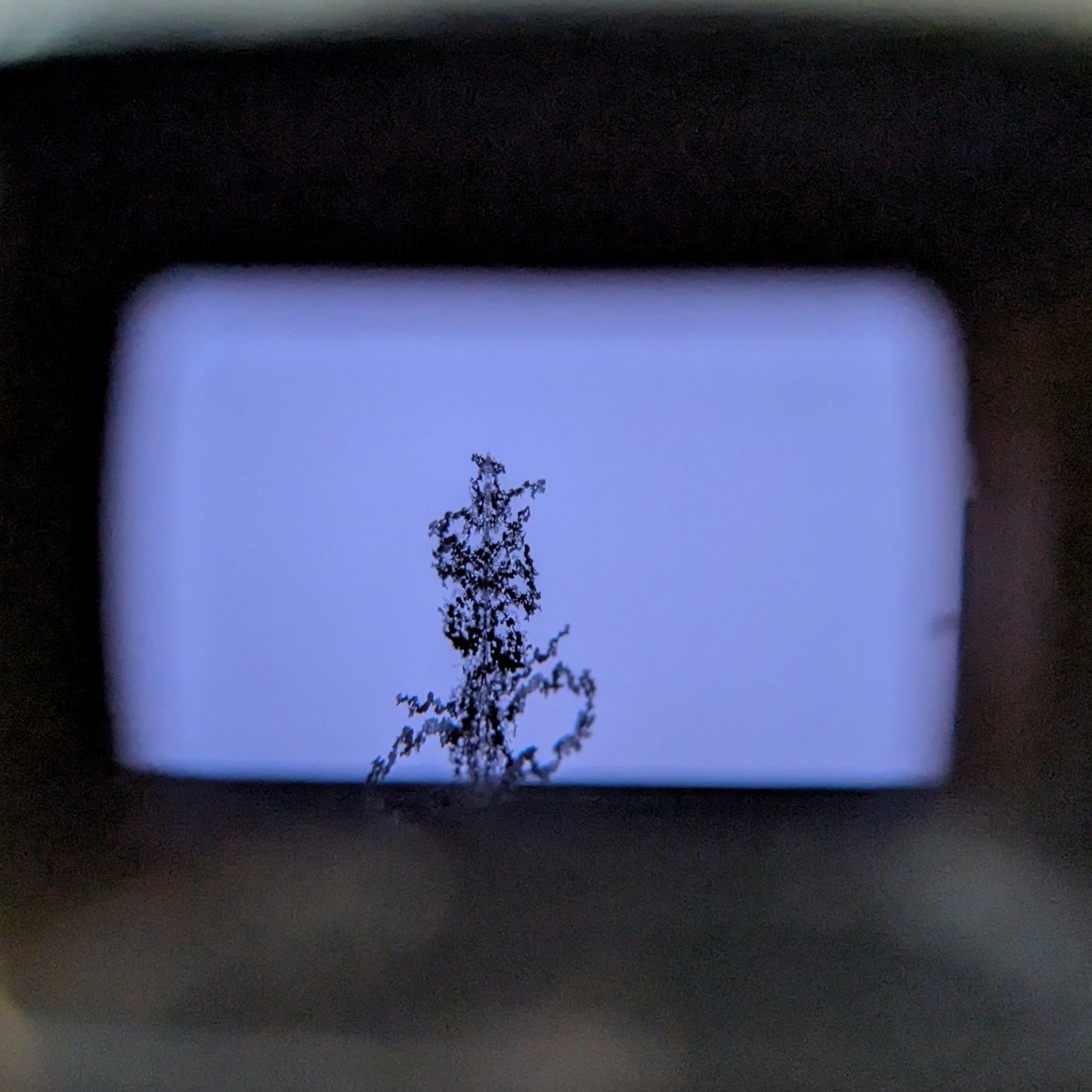Pentax K1000 Film Camera Body