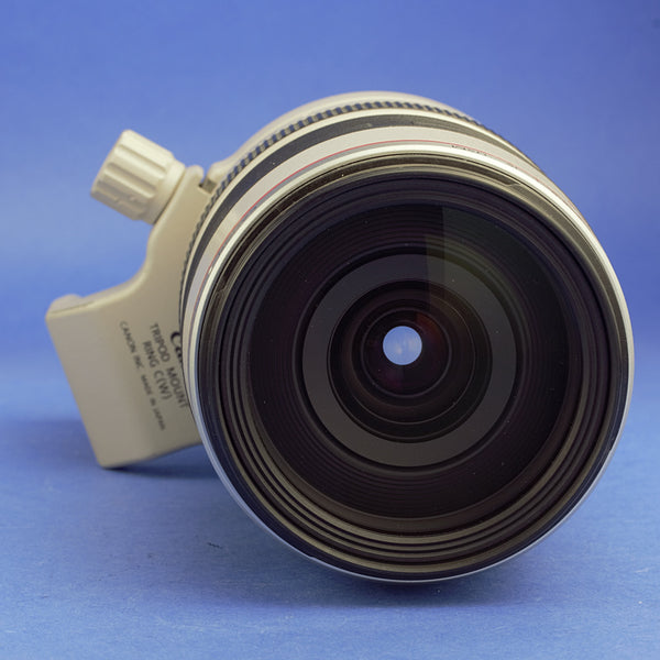 Canon EF 28-300mm 3.5-5.6 L Lens